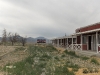 currant-nevada-12