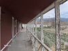 currant-nevada-14