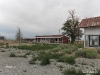 currant-nevada-9