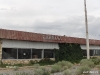 currant-nevada