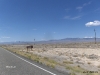 hightway-50-in-utah-3