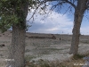 warm-springs-nevada-2