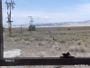 warm-springs-nevada-9
