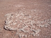 meteor-city-4