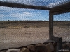 two-guns-arizona-15