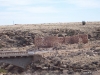 two-guns-arizona-25