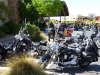 ut100mileride2010-14