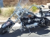 ut100mileride2010-28