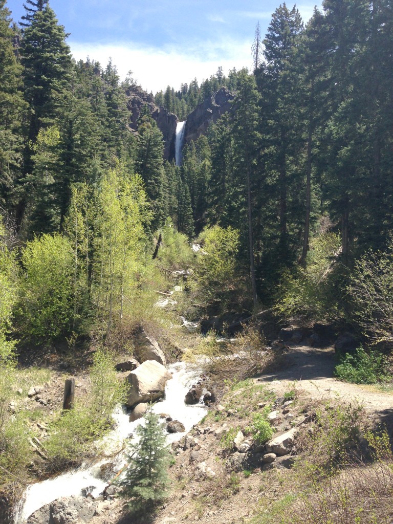 Up wolf creek pass - Easy Rider inaugural tour
